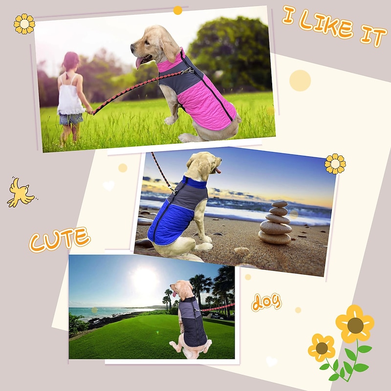 Dog Cat Coat Jacket Fashion Cute Winter Waterproof Breathable Soft Washable Comfortable Outdoor Casual Daily Dog Clothing for Bichon Frise Pomeranian Baby Pet Papillon Small4