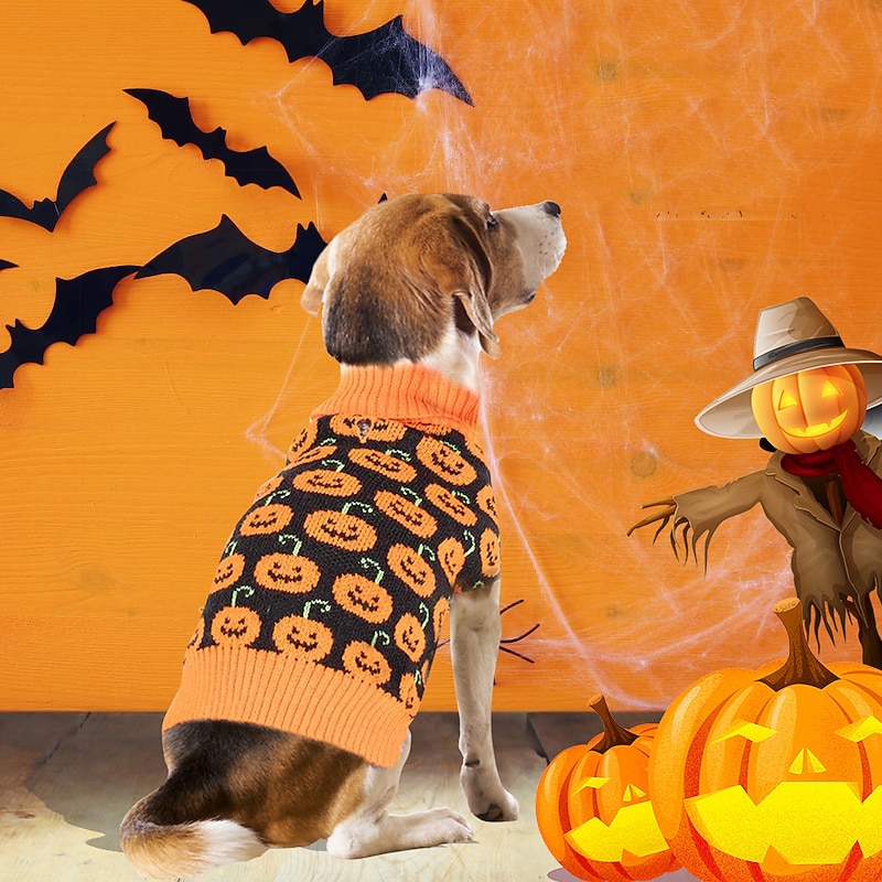 Dog Cat Sweater Jumper Party Funny Winter Waterproof Breathable Soft Washable Comfortable Casual Daily Dog Clothing for Bichon Frise Pomeranian Baby Pet Papillon Small