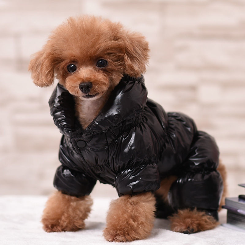 Dog Cat Coat Jacket Fashion Cute Winter Breathable Soft Washable Comfortable Outdoor Casual Daily Dog Clothing for Bichon Frise Chihuahua Pomeranian Baby Pet Papillon4