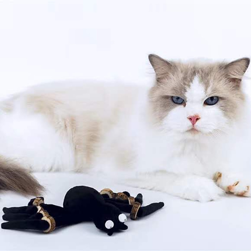 Dog Halloween Costumes Halloween spider cat toy pet funny black spider leg strap grinding teeth wood chip cat toy manufacturers2