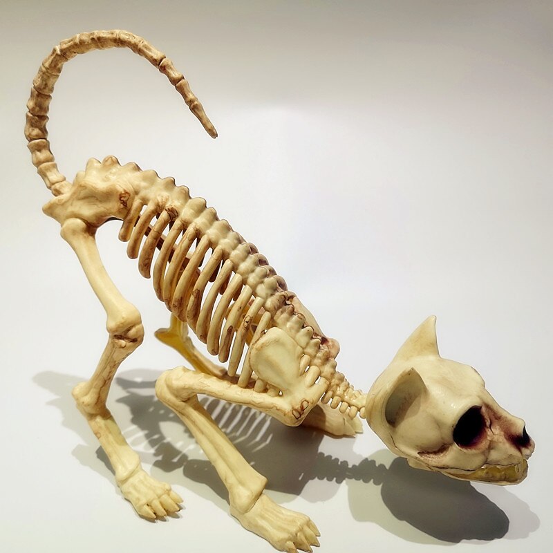 Scary Cat Skeleton Halloween Plastic Cat Skeleton Halloween Decoration Outdoor Halloween Decoration Beige2