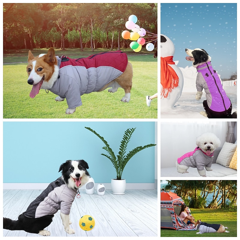 Dog Cat Coat Harness Jacket Fashion Cute Winter Waterproof Breathable Soft Washable Comfortable Outdoor Casual Daily Dog Clothing for Bichon Frise Pomeranian Baby Pet Papillon Small3