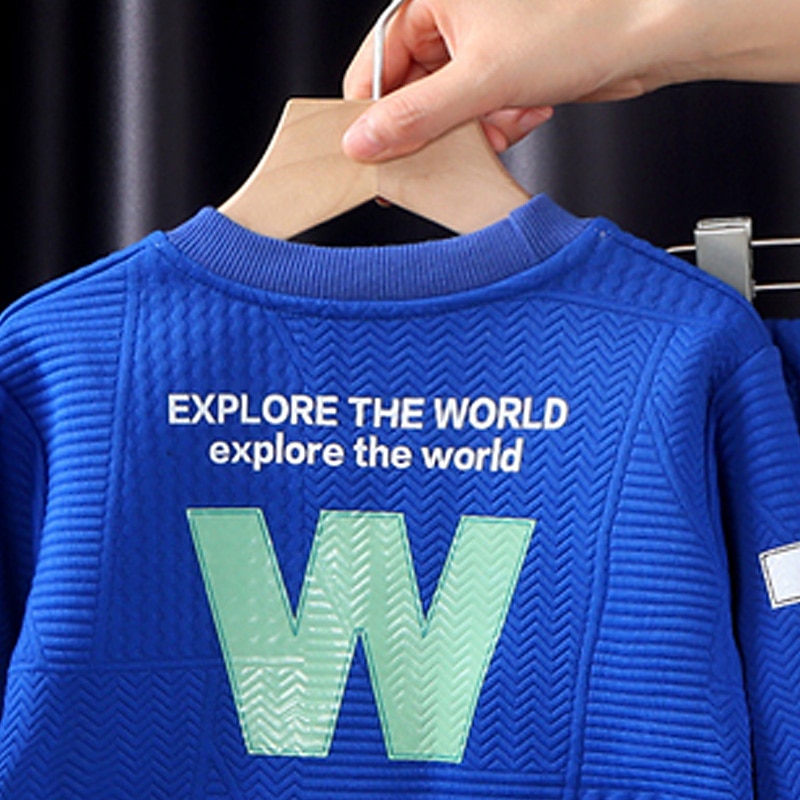 2 Pieces Kids Boys Hoodie & Sweatpants Set Clothing Set Outfit Letter Long Sleeve Crewneck Set School Sports Fashion Daily Fall Winter 7-13 Years Pink Blue Gray2