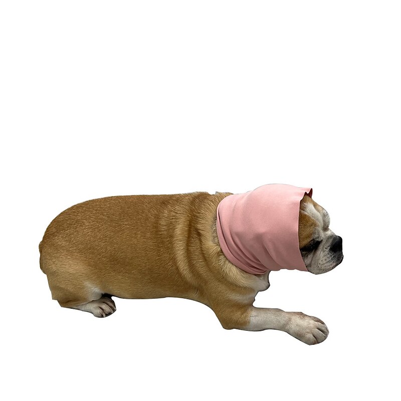 Dog Cat Bandanas & Hats Fashion Cute Winter Breathable Soft Washable Comfortable Outdoor Casual Daily Dog Clothing for Bichon Frise Pomeranian Baby Pet Papillon Small4