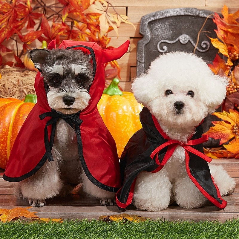 Dog Cat Cloak Halloween Outfit Fashion Cool Winter Breathable Soft Washable Comfortable Halloween Outdoor Casual Daily Dog Clothing for Bichon Frise Pomeranian Baby Pet Papillon Small2