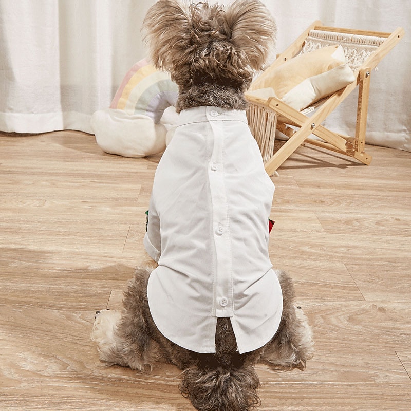 Dog Cat T-shirts Fashion Casual Winter Breathable Soft Washable Comfortable Outdoor Casual Daily Dog Clothing for Bichon Frise Pomeranian Baby Pet Papillon Small3