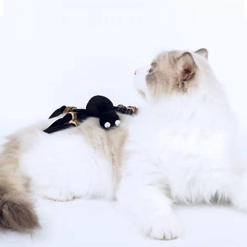 Dog Halloween Costumes Halloween spider cat toy pet funny black spider leg strap grinding teeth wood chip cat toy manufacturers3