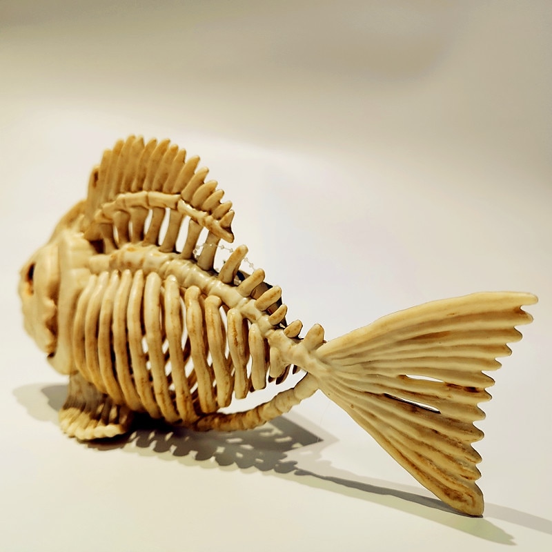 Halloween Fish Skeleton Modelfish Skeleton Halloween Skeleton Decoration Skeleton Ornament-Fish Tank Plastic Simulation Fish Bones Ornaments Party Decoration4