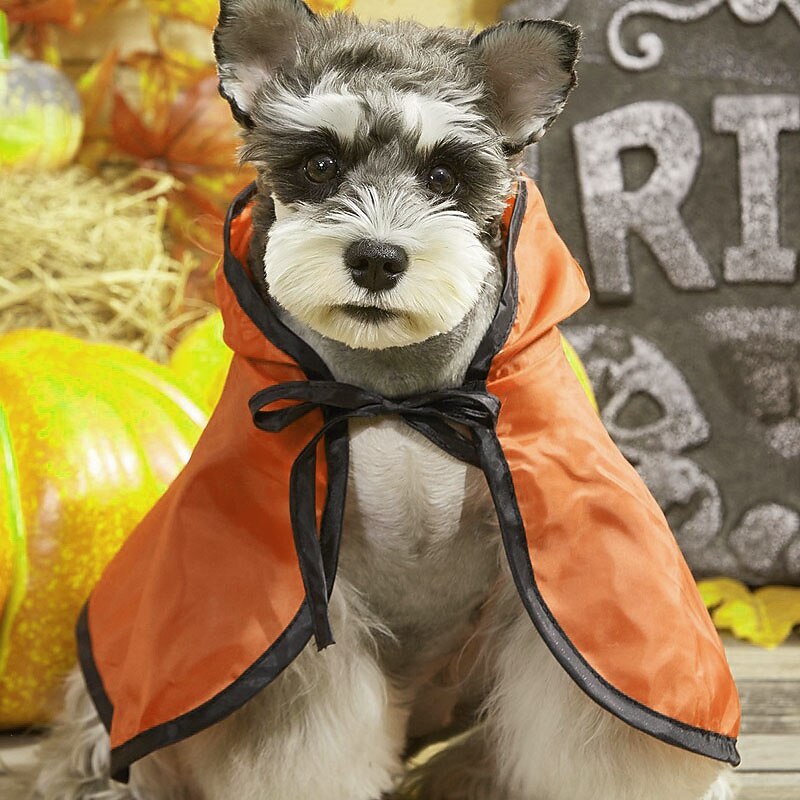 Dog Cat Cloak Halloween Outfit Fashion Cool Winter Breathable Soft Washable Comfortable Halloween Outdoor Casual Daily Dog Clothing for Bichon Frise Pomeranian Baby Pet Papillon Small4
