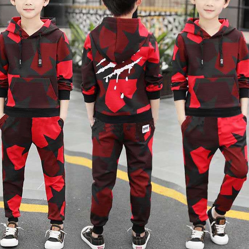 Boys 3D Graphic Camouflage Clothing Set Long Sleeve Spring Fall Daily Basic Kids 3-12 Years Outdoor Indoor Regular Fit2