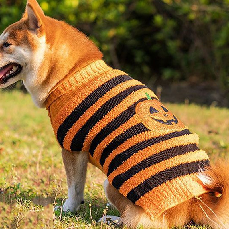 Dog Cat Sweater Jumper Cool Funny Winter Warm Breathable Soft Washable Comfortable Halloween Casual Daily Dog Clothing for Bichon Frise Pomeranian Baby Pet Papillon Small