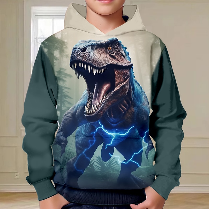 Boys 3D Dinosaur Hoodie Pullover Long Sleeve 3D Print Fall Winter Fashion Streetwear Cool Kids 3-12 Years Outdoor Casual Daily Regular Fit4