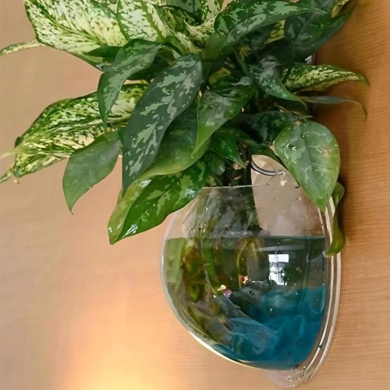 Free Punching Hydroponics Planter, Home Decoration Pot Wall Hanging Mount Bubble Aquarium Bowl Fish Tank Aquarium Home Minipot (Without Plant) Wedding Decoration3