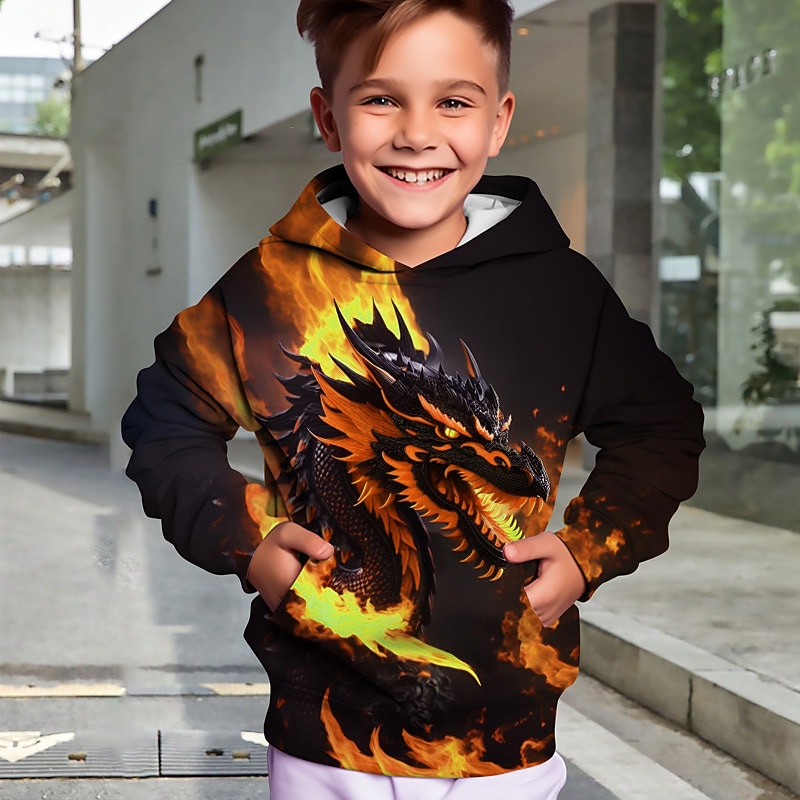 Boys 3D Animal Dragon Hoodie Pullover Long Sleeve 3D Print Fall Winter Fashion Streetwear Cool Kids 3-12 Years Outdoor Casual Daily Regular Fit2
