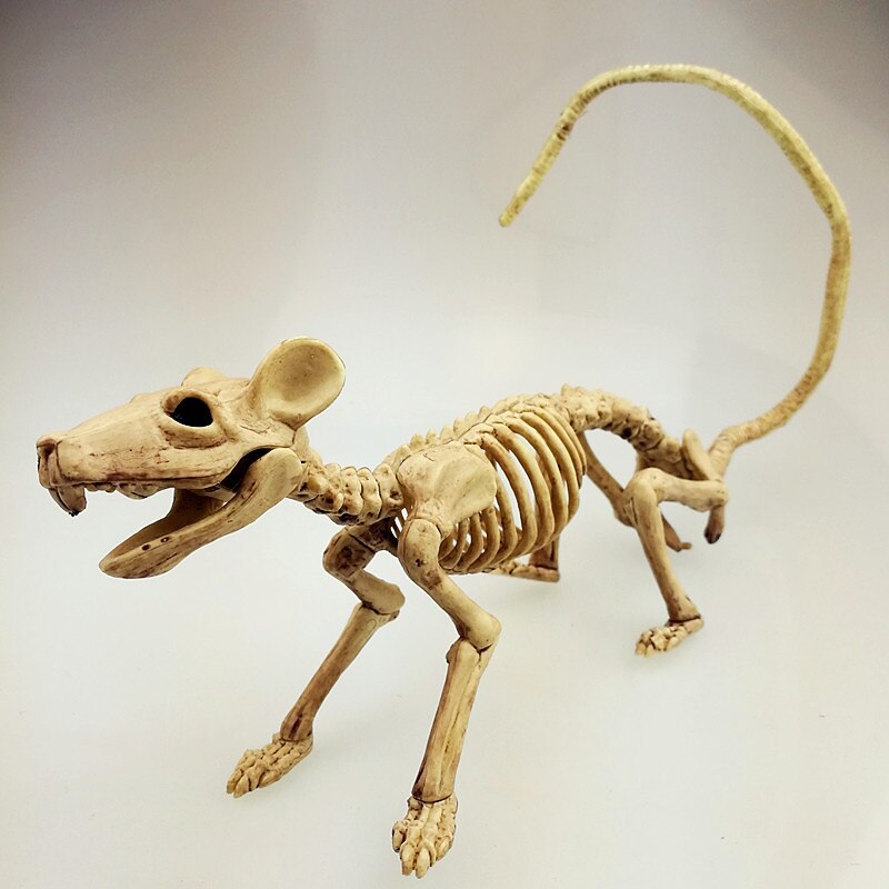 Skeleton Model, 3D Animal Sculpture Resin Crafts, for Pose Skeleton Prop Indoor/Outdoor, Halloween Decoration4