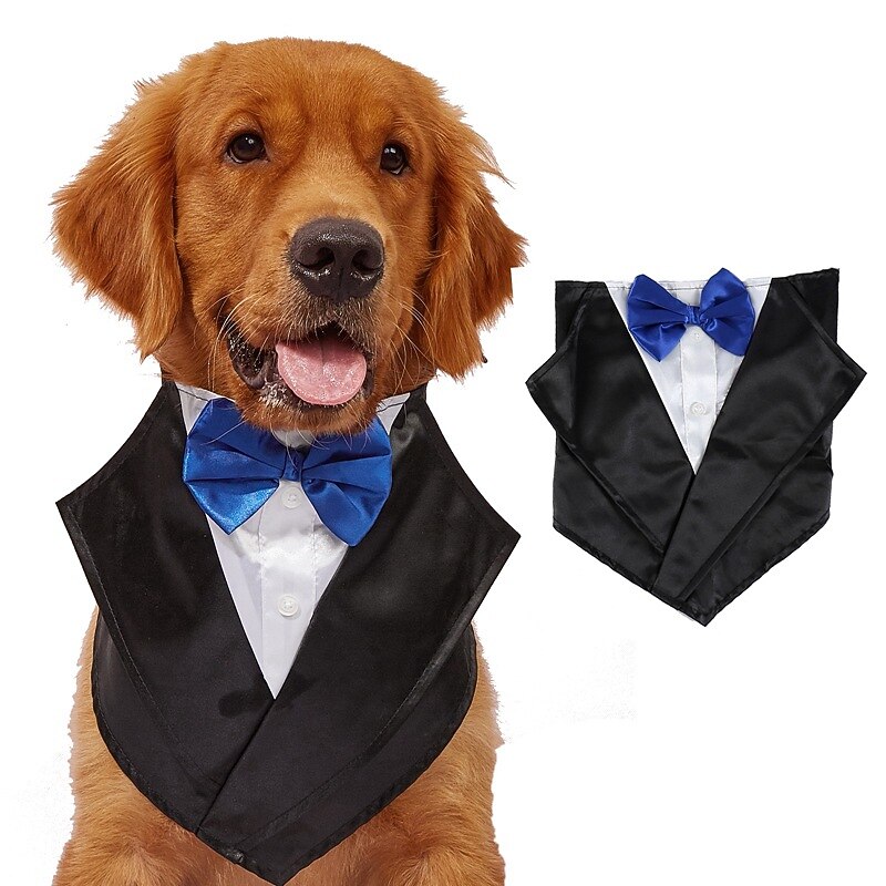 Dog Cat Suit Fashion Party Winter Waterproof Breathable Soft Washable Comfortable Wedding Party Wedding Party Festival Dog Clothing for Bichon Frise Pomeranian Baby Pet Papillon Small3