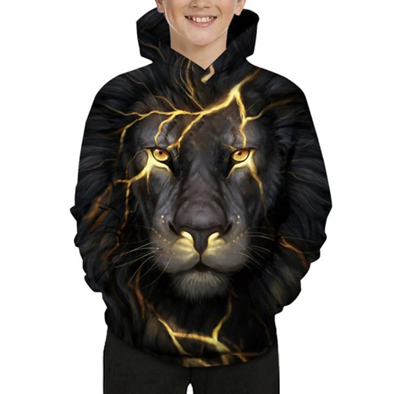 Boys 3D Hoodie Long Sleeve 3D Print Spring Fall Winter Active Basic Kids Toddler 2-13 Years Outdoor Daily