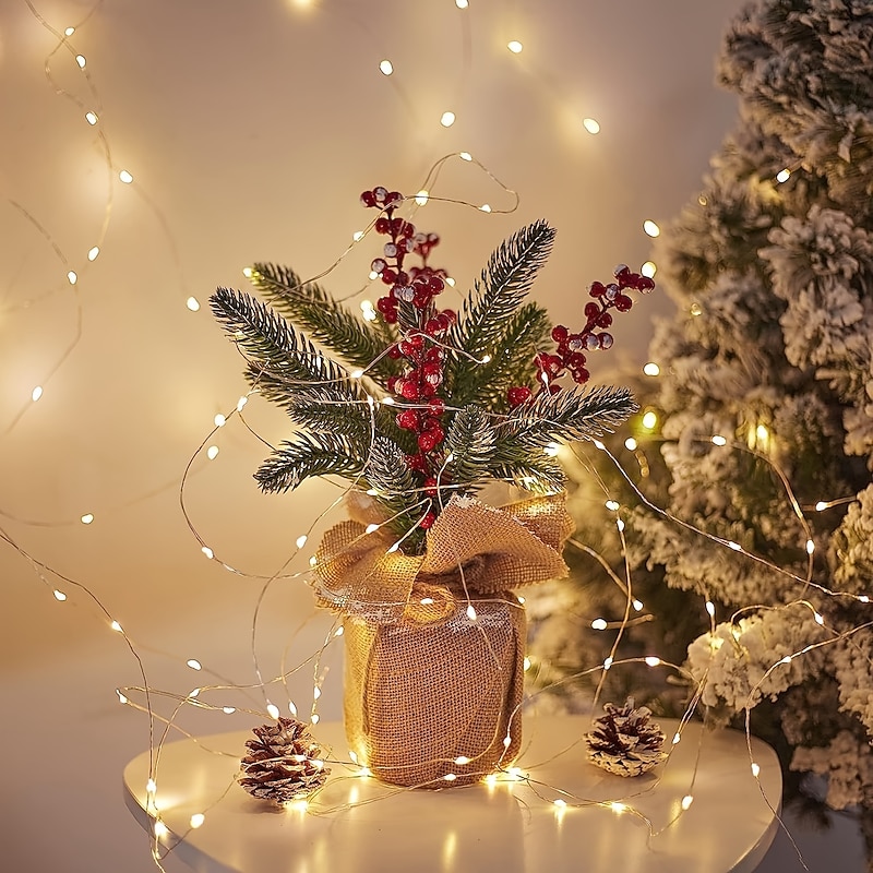 Elegant Wedding Party Reception 20M 200LED Copper Wire Fairy Lights – USB Plug 8 Modes Remote Control Waterproof for Home Garden Patio Decor4