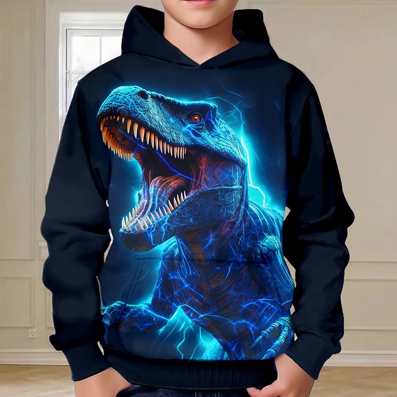 Boys 3D Dinosaur Hoodie Pullover Long Sleeve 3D Print Fall Winter Fashion Streetwear Cool Kids 3-12 Years Outdoor Casual Daily Regular Fit2