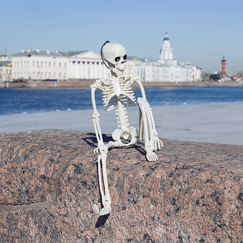 Halloween Skeletons, Halloween Decorations Skull, Full Body Realistic Faux Human Skeleton, Halloween Decor for Haunted House Props