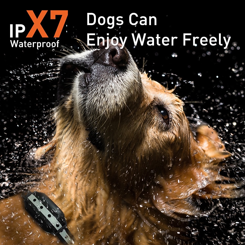 Dog training collar LCD screen display three training modes beeping vibration electric shock with strong torch IP67 waterproof suitable for medium and large dogs With anti loss rope2