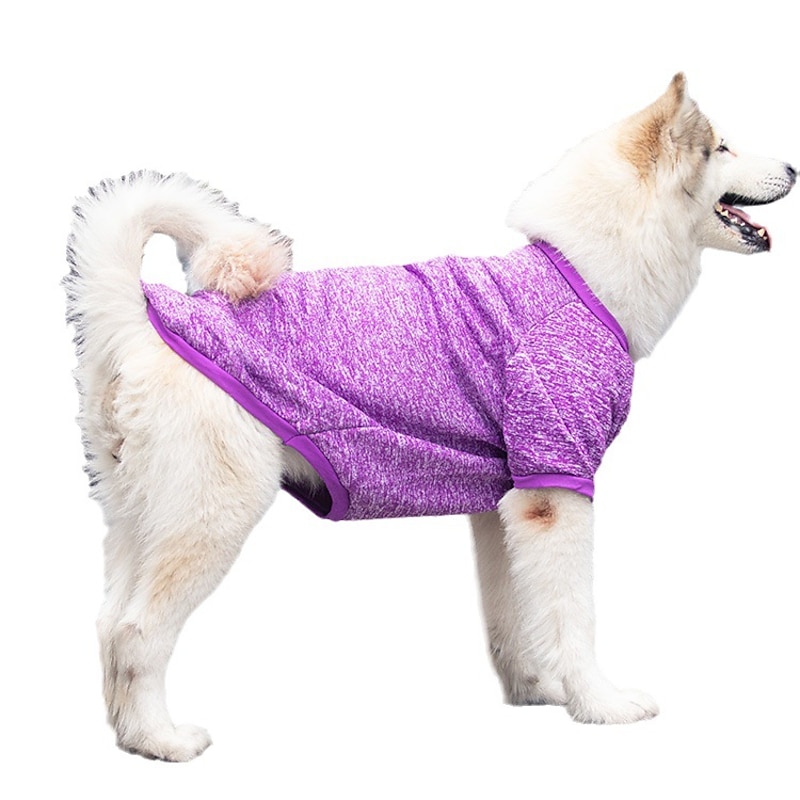 Dog Cat Sweatshirt Fashion Minimalist Winter Warm Breathable Soft Washable Comfortable Outdoor Casual Daily Dog Clothing for Bichon Frise Pomeranian Baby Pet Papillon Small4