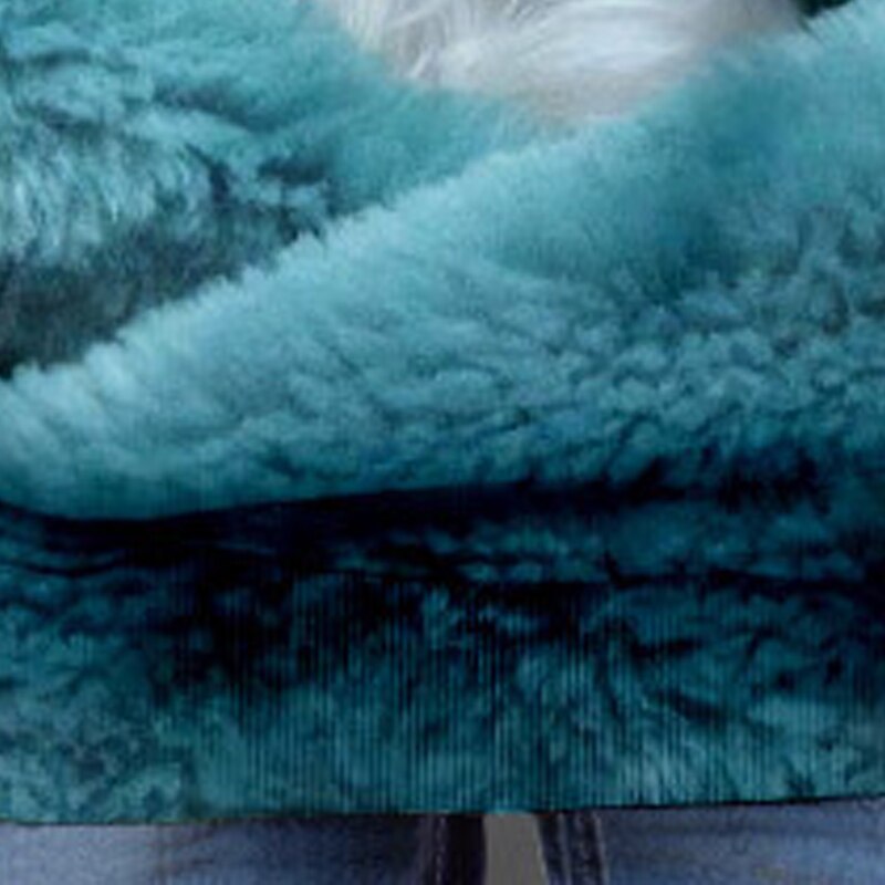 Girls' 3D Dog Hoodie Pullover Long Sleeve 3D Print Fall Winter Active Fashion Cute Polyester Kids 3-12 Years 4-12 Years Outdoor Casual Daily Regular Fit4