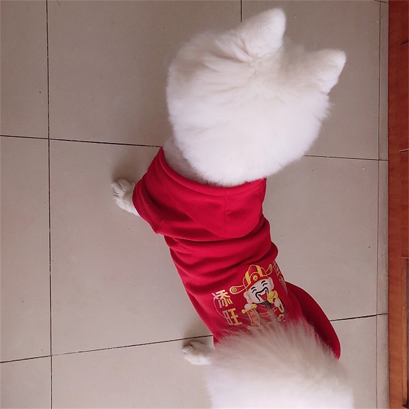 Dog Cat Hoodie Fashion Casual Winter Waterproof Breathable Soft Washable Comfortable Casual Daily Dog Clothing for Bichon Frise Pomeranian Baby Pet Papillon Small4