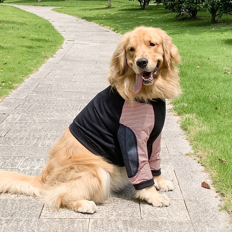 Dog Cat Shirt / T-Shirt Party Funny Breathable Soft Washable Comfortable Casual Daily Dog Clothing for Bichon Frise Pomeranian Baby Pet Papillon Small4