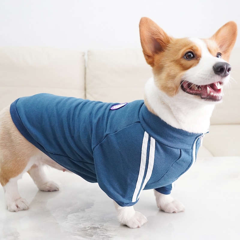 Dog Cat Sweatshirt Fashion Casual / Sporty Winter Breathable Soft Washable Comfortable Outdoor Casual Daily Dog Clothing for Bichon Frise Pomeranian Baby Pet Papillon Small2