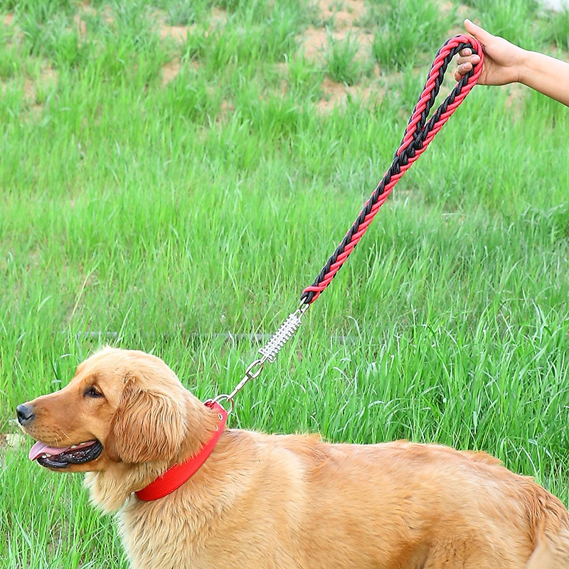 Pet Woven Traction Belt Dog Traction Rope Spring Belt Buffer Short Dog Rope Pet Products2
