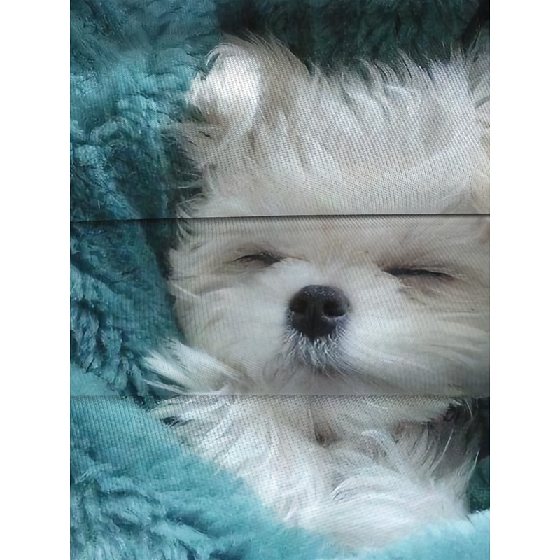 Women's Sweatshirt Pullover Spring 3D Print Basic Blue Dog Street Round Neck Plus Size Long Sleeve Comfrt Breathable Soft Fabric2