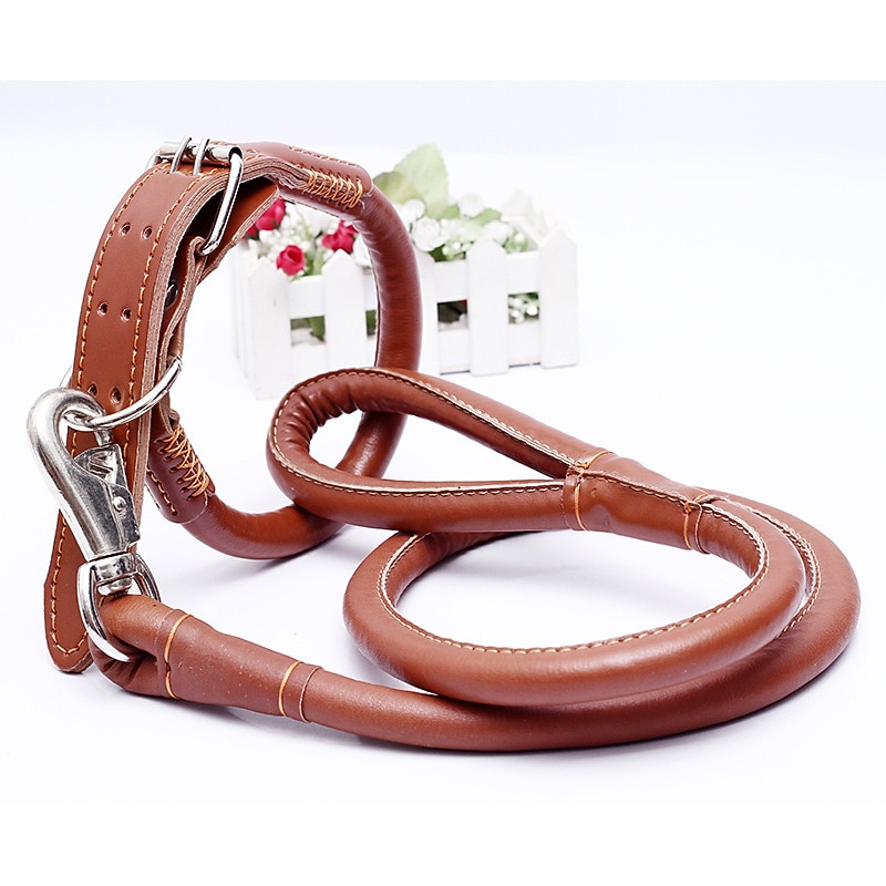 Pet Dog Leather Collar Traction Rope Walking Dog Rope Set Pet PU Collar Traction Belt3