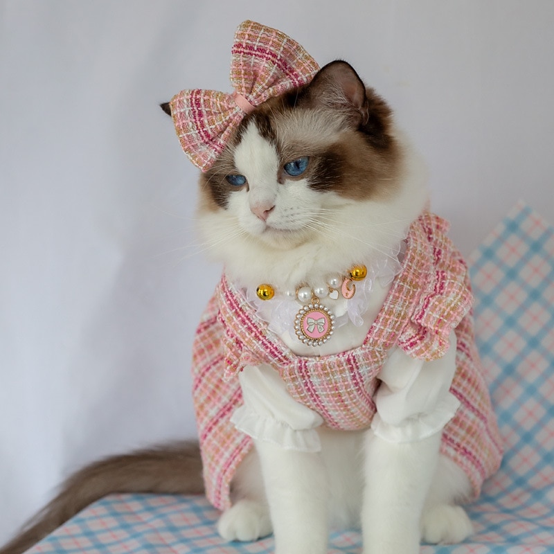 Dog Cat Dress T-shirts Fashion Cute Winter Soft Washable Comfortable Outdoor Party Casual Daily Dog Clothing for Bichon Frise Poodle Pomeranian Baby Pet Papillon2