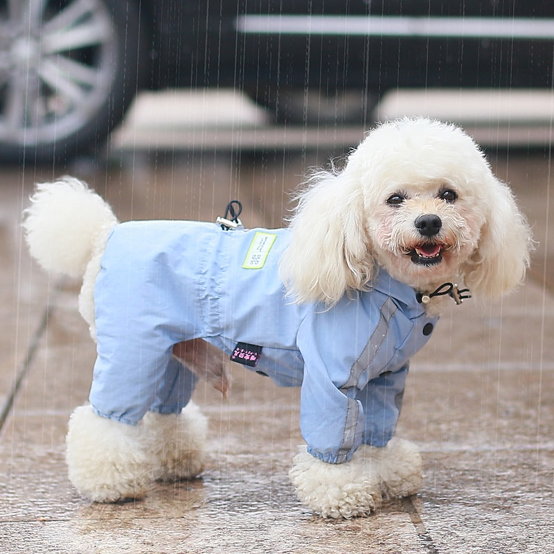 Dog Cat Rain Coat Rain Jacket Fashion Cute Winter Reflective Waterproof Breathable Soft Washable Outdoor Casual Daily Dog Clothing for Bichon Frise Pomeranian Baby Pet Papillon Small2