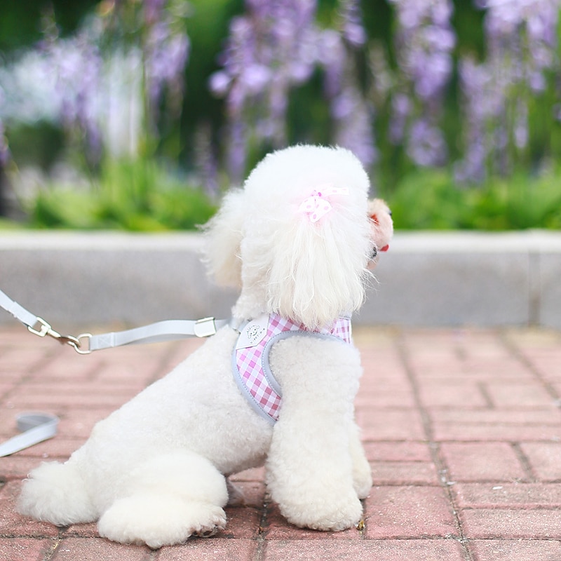 Pet Chest Strap Cross border New Tank Top Style Plaid Breathable Dog Traction Rope Small Dog Teddy Walking Rope4