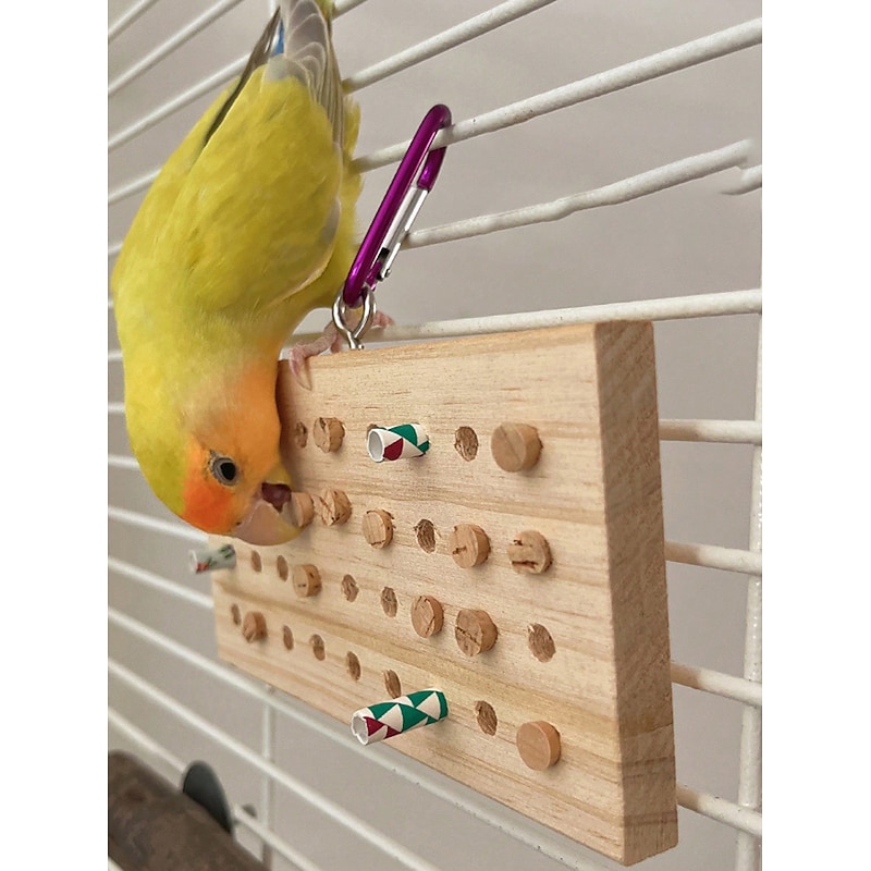 Interactive Toy with Durable Pet Exercise Teething Toy for Birds Indoor Pet Play3