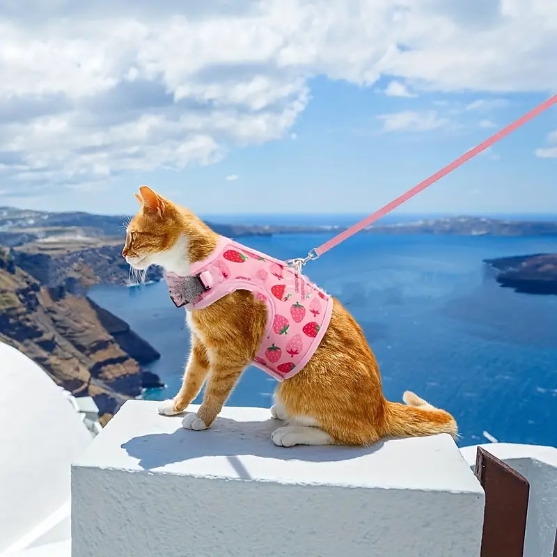 Dog Cat Harness Fashion Party Reflective Breathable Washable Comfortable Christmas Outdoor Casual Daily Walking Dog Clothing for Bichon Frise Pomeranian Baby Pet Papillon Small