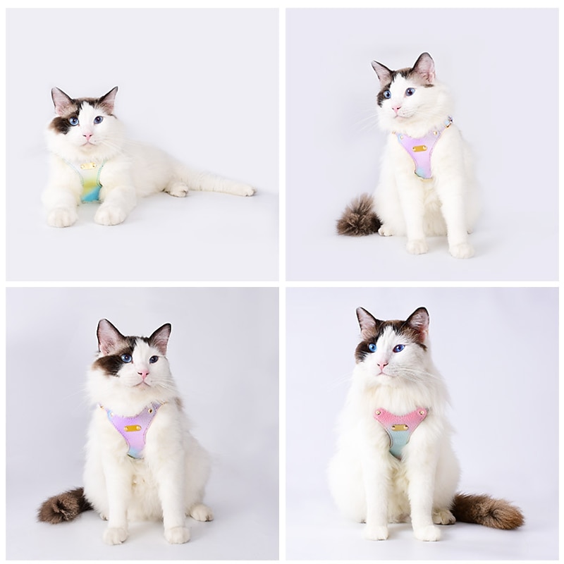 Anti Breakaway Cat Chest Strap With Engraved Lettering To Prevent Loss Colorful Cat Walking Rope Pet Traction Rope Small Dog4