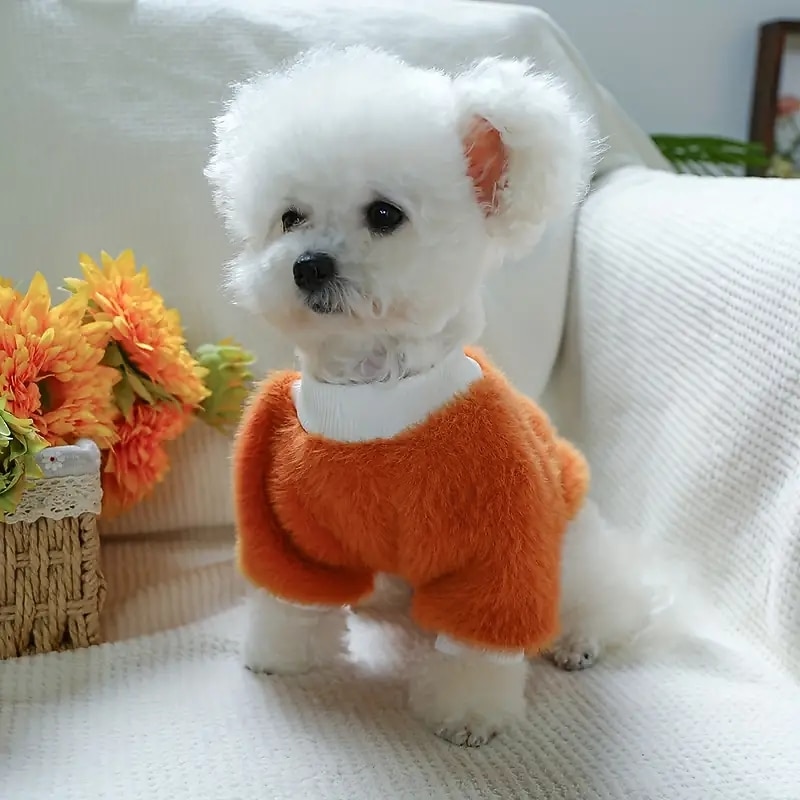Dog Cat Sweatshirt Cute Floral Winter Warm Breathable Soft Washable Comfortable Christmas Christmas Outdoor Casual Daily Dog Clothing for Bichon Frise Pomeranian Baby Pet Papillon Small4