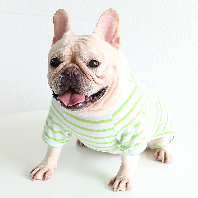 Dog Cat Pajamas Fashion Cute Winter Soft Washable Comfortable Indoor Casual Daily Dog Clothing for Bichon Frise Poodle Pomeranian Baby Pet Papillon2