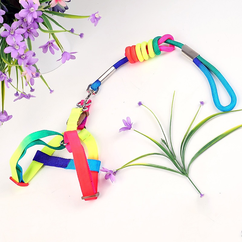 Dog Colorful Traction Rope Colorful Nylon Rope Pet Chest Strap Traction Rope Pet Supplies3