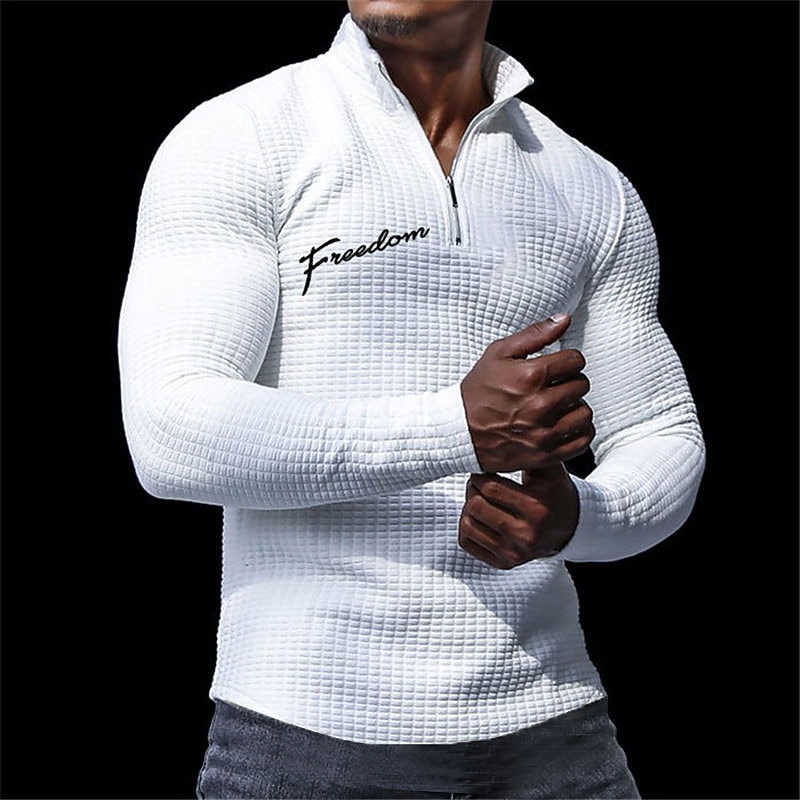 Men's Letter Waffle Polo Shirts Long Sleeve Polo Shirts Turndown Zip Business Outdoor Casual Daily Streetwear 3D Print Fall & Winter Black White Apricot