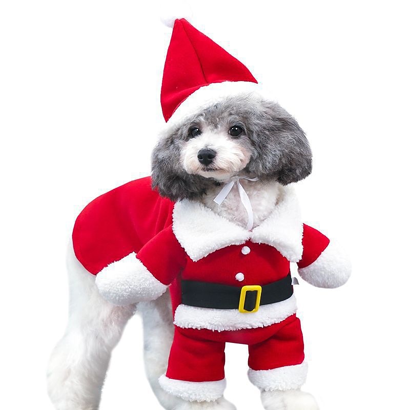 Dog Christmas Outfit Pet transforms into Dog clothes Christmas Cape Dog Christmas clothes Santa Claus dog standing suit model2