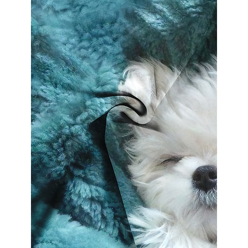 Women's Sweatshirt Pullover Spring 3D Print Basic Blue Dog Street Round Neck Plus Size Long Sleeve Comfrt Breathable Soft Fabric3