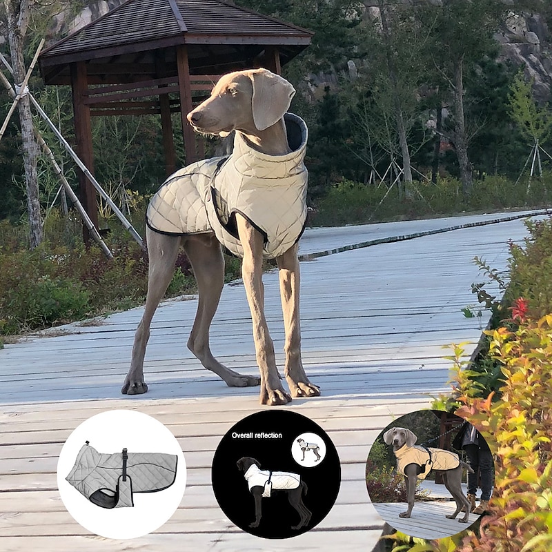 Dog Cat Coat Jacket Fashion Casual Winter Reflective Waterproof Warm Breathable Soft Outdoor Casual Daily Dog Clothing for Corgi Dachshund Pomeranian Baby Pet Papillon