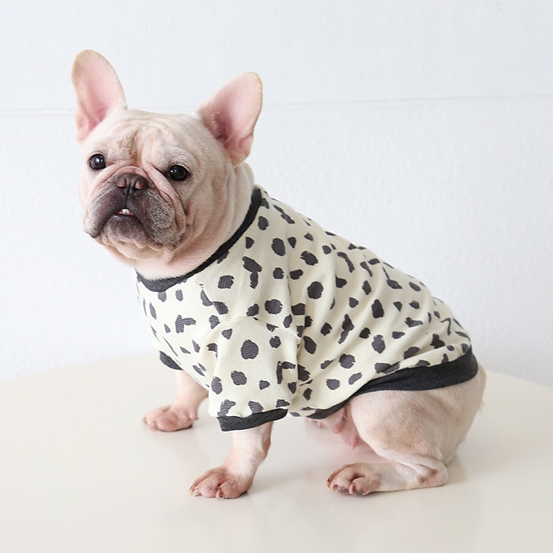 Dog Cat Sweatshirt Fashion Cute Winter Soft Washable Comfortable Indoor Casual Daily Dog Clothing for Bichon Frise Poodle Pomeranian Baby Pet Papillon3