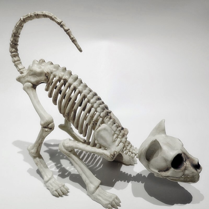 Scary Cat Skeleton Halloween Plastic Cat Skeleton Halloween Decoration Outdoor Halloween Decoration Beige