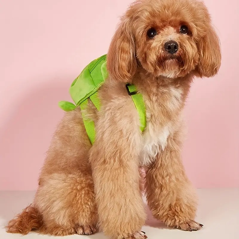 Cute Turtle Design Pet Backpack for Dogs and Cats - Perfect forOutdoor Walking and Traveling2