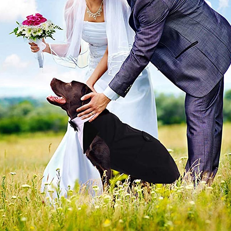 Dog Cat Suit Fashion Cute Winter Soft Washable Comfortable Wedding Outdoor Party Wedding Party Festival Dog Clothing for Bichon Frise Poodle Pomeranian Baby Pet Papillon2